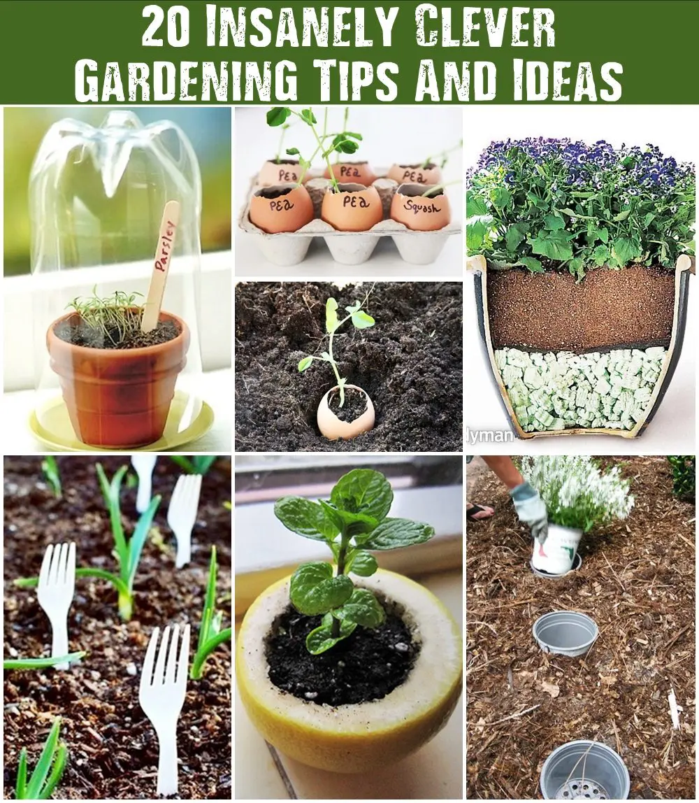 20 insanely clever gardening tips and ideas that could give even pro gardeners much needed help this spring.