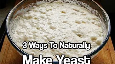 3 Ways To Naturally Make Yeast
