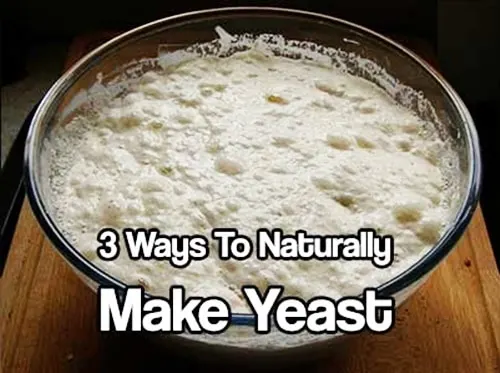 3 Ways To Naturally Make Yeast - Call me "green, frugal, cheap, or just smart". I do not buy store bought yeast anymore. I am cheap and I admit it! I actually prefer to make my own because I know what's in it and I save a ton of money over the years!
