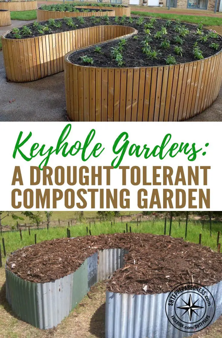 Keyhole Gardens: A Drought Tolerant Composting Garden — The Keyhole Garden concept is brilliantly simple. A circular raised bed has a center compost basket that distributes nutrients to the surrounding lasagna-style garden bed.