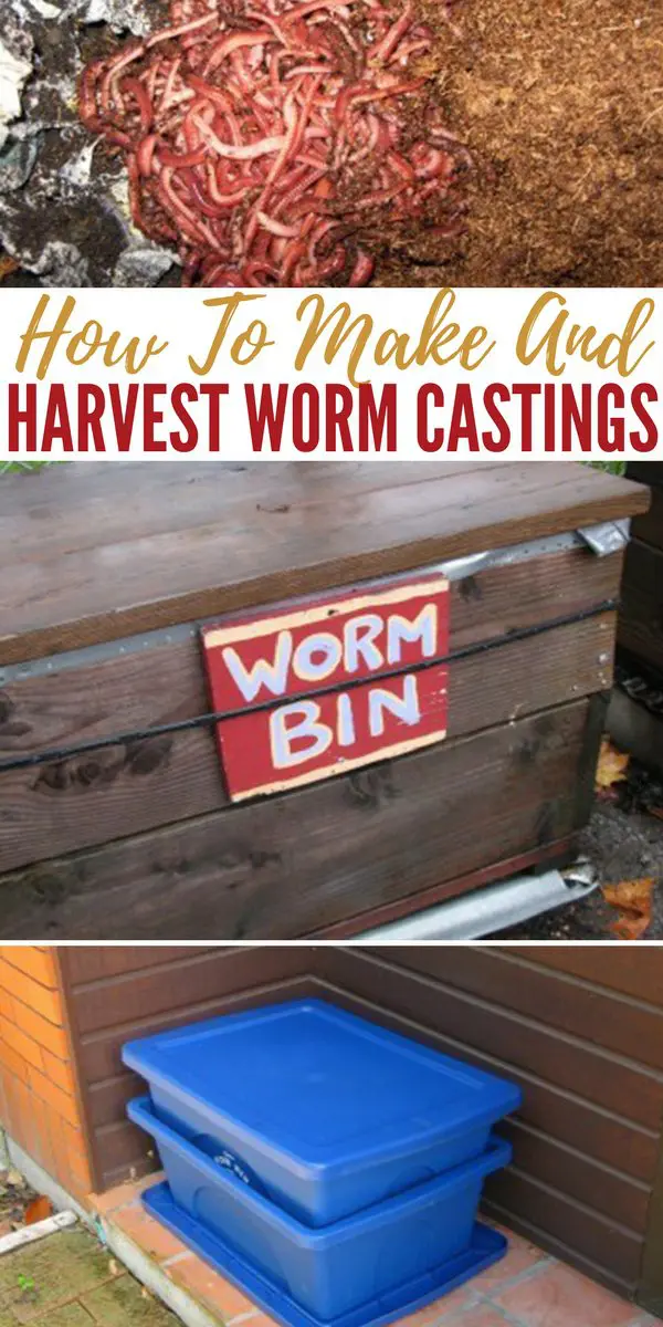 How To Make And Harvest Worm Castings