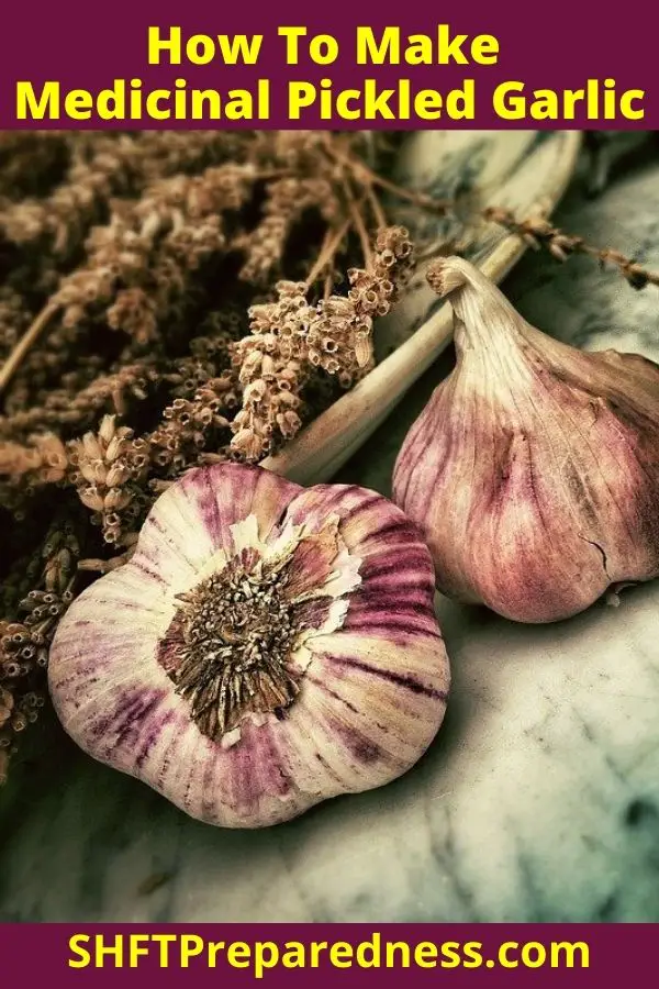 According to Gladstar’s book, “Garlic is the herb of choice in treating colds, flu, sore throats and poor or sluggish digestion… makes a potent internal and external antiseptic, antibacterial, and antimicrobial agent effective for treating many types of infection.”