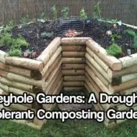 Keyhole Gardens: A Drought Tolerant Composting Garden — The Keyhole Garden concept is brilliantly simple. A circular raised bed has a center compost basket that distributes nutrients to the surrounding lasagna-style garden bed.