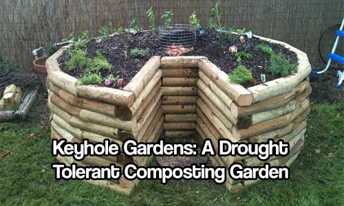 Keyhole Gardens: A Drought Tolerant Composting Garden — The Keyhole Garden concept is brilliantly simple. A circular raised bed has a center compost basket that distributes nutrients to the surrounding lasagna-style garden bed.