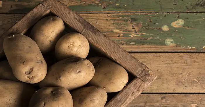 How To Build The Best Potato Box Ever - The box is designed so additional slats can be screwed to the sides as the plants grow and soil is added. In theory, a bottom slat can be temporarily removed to facilitate the harvest of new potatoes.