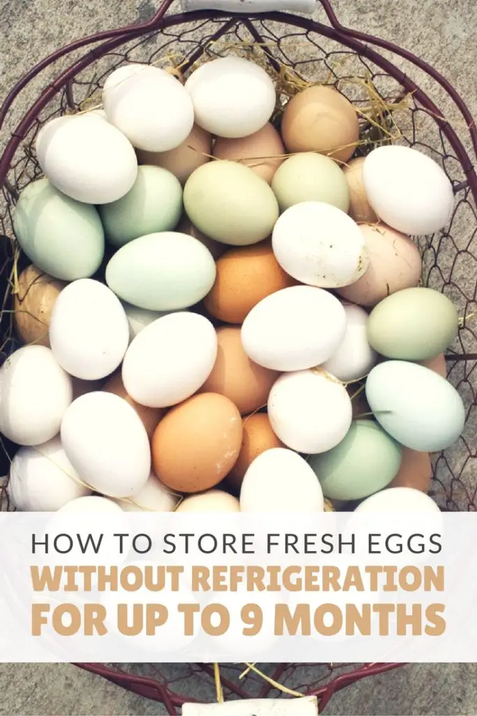 How To Store Fresh Eggs Without Refrigeration Long-Term 1 How To Store Fresh Eggs Without Refrigeration Up 9 Months - Store eggs without refrigeration like we did back in the day! Some say the eggs taste better when kept this way. Want to give it a try? I already do this and will never go back to refrigerating my eggs again!