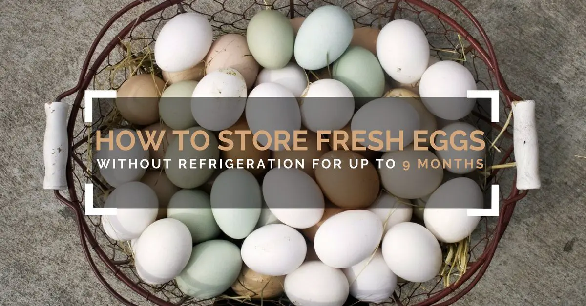 How To Store Fresh Eggs Without Refrigeration Up 9 Months - Store eggs without refrigeration like we did back in the day! Some say the eggs taste better when kept this way. Want to give it a try? I already do this and will never go back to refrigerating my eggs again!
