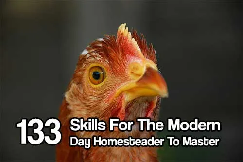 133 Skills For The Modern Day Homesteader To Master - There is something so empowering about learning how to do something new with your hands. Or mastering a skill that, at an earlier point in your lie, would have seemed completely foreign.