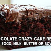 Chocolate Crazy Cake Recipe (No Eggs, Milk, Butter or Bowls)