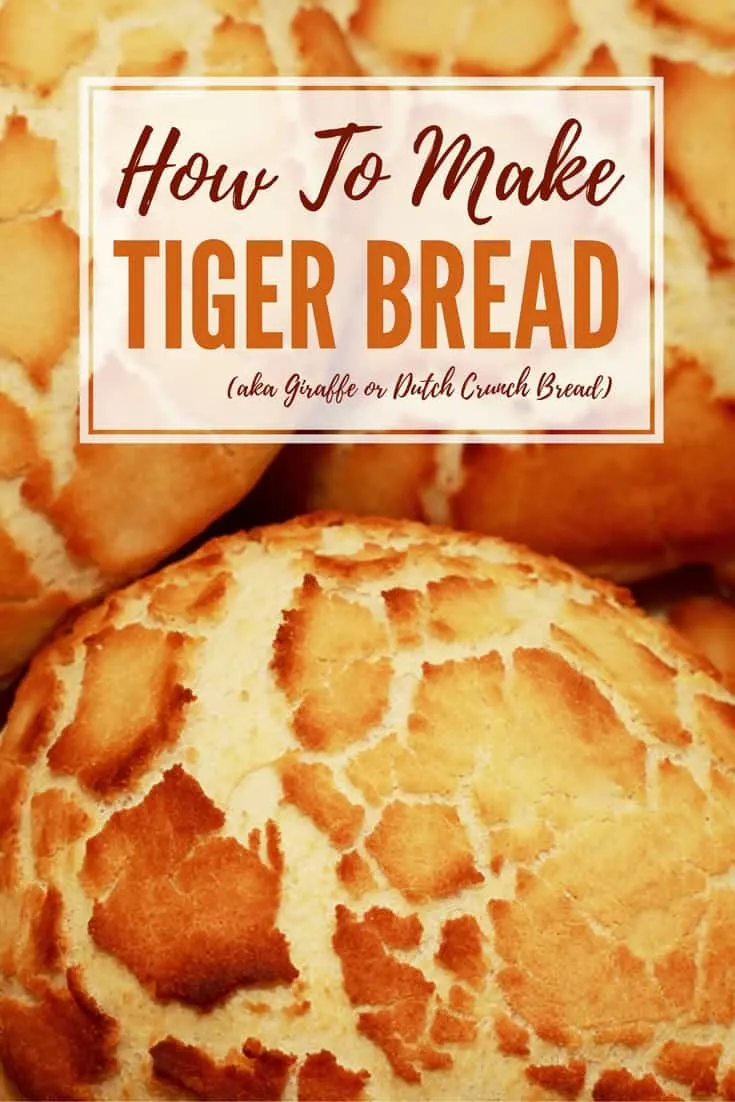 How To Make Tiger Bread 2 How To Make Tiger Bread - Tiger bread is quite possibly the tastiest bread you will ever get to experience! It has a unique flavor you won’t understand until you taste it for yourself. Image: Carl Revell/flickr