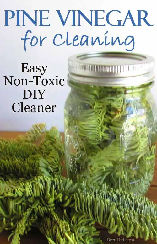 Evergreen Scented Vinegar for Cleaning