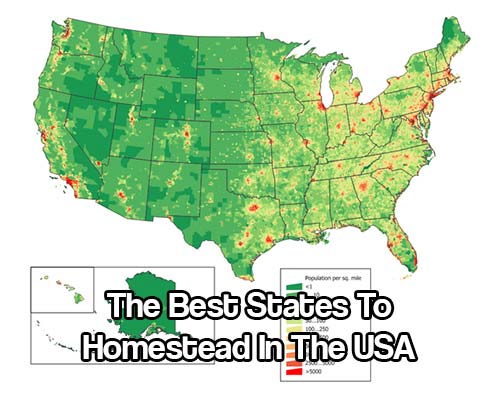 Many Americans are looking for a place to homestead.