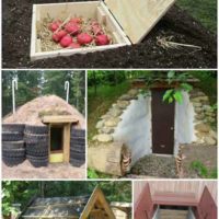 17 DIY Root Cellars For The Homestead