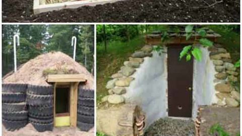 17 DIY Root Cellars for the Homestead