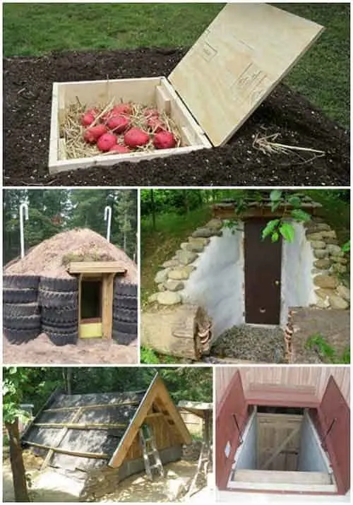 17 DIY Root Cellars For The Homestead