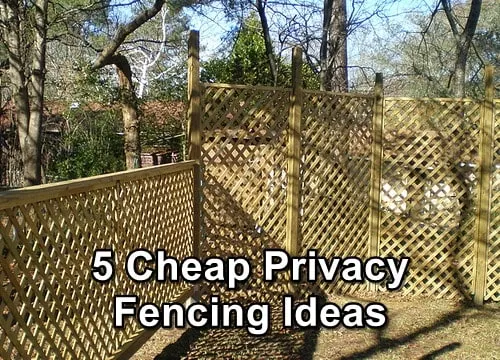 5 Cheap Privacy Fencing Ideas