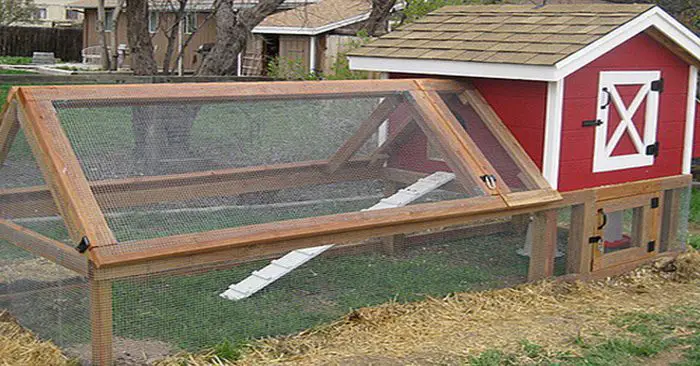 how to build a simple yet awesome backyard chicken coop