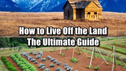 How To Live Off the Land – The Ultimate Guide