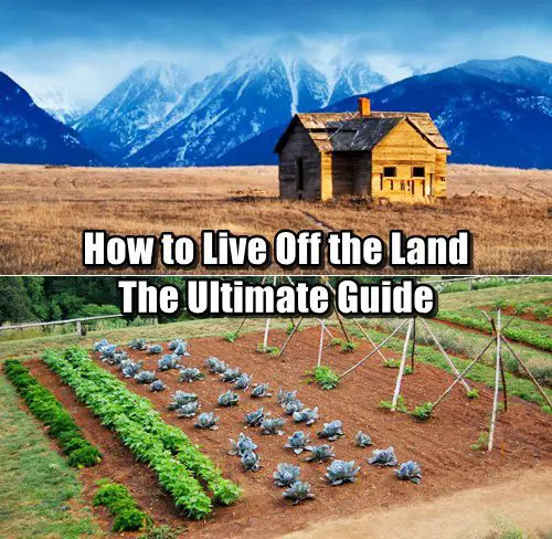 How to Live Off the Land - The Ultimate Guide