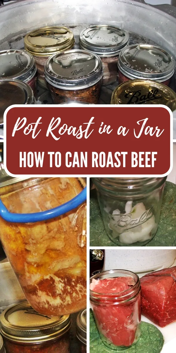 Pot Roast in a Jar - Canning Roast Beef 2 Pot Roast in a Jar Recipe: Canning Roast Beef - Beef has a lot of protein and energy, this is not only fun but a great reserve to have at home just in case! The pot roast actually tastes better than regularly cooked beef, I am not sure if it’s because all of the juices can sit in the meat until you eat it.
