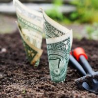 The 50-dollar 30-day Emergency Food Kit - All of the foods that are mentioned in this article store well with the exception of the raw eggs. But if you look on my website I have done a post on how to keep eggs fresh for up to 12 months.