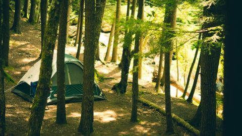 41 Genius Camping Hacks You’ll Wish You Thought Of Sooner