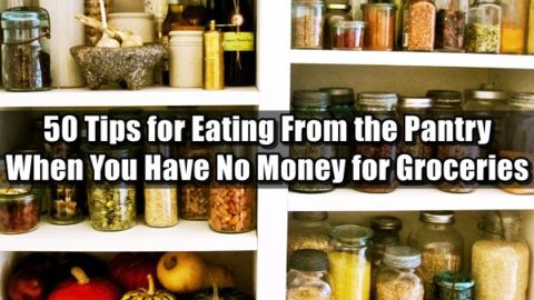 50 Tips for Eating From the Pantry When You Have No Money for Groceries