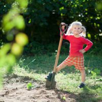 9 Methods for Hiding Your Survival Garden - One morning you go outside to harvest some corn, but you stop dead in your tracks. The backyard gate has been kicked open, half the garden has been destroyed, and all the fruits and veggies are gone. Someone must have raided your garden in the middle of the night. This is why anyone with a survival garden should think about ways to hide it. 9 Methods for Hiding Your Survival Garden