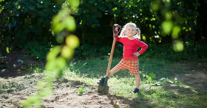 9 Methods for Hiding Your Survival Garden - One morning you go outside to harvest some corn, but you stop dead in your tracks. The backyard gate has been kicked open, half the garden has been destroyed, and all the fruits and veggies are gone. Someone must have raided your garden in the middle of the night. This is why anyone with a survival garden should think about ways to hide it. 9 Methods for Hiding Your Survival Garden