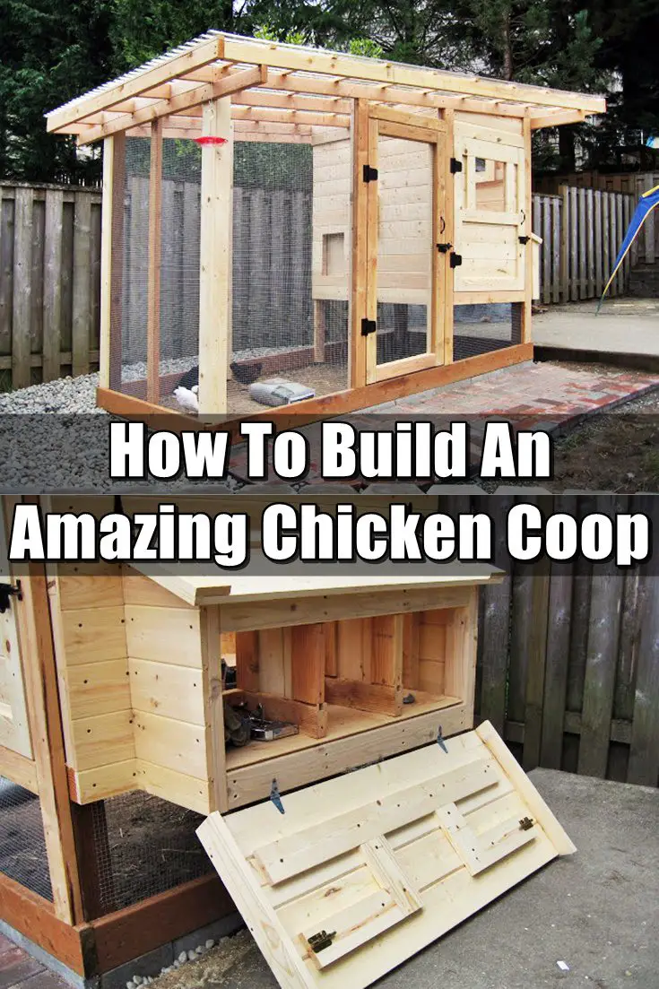 How To Build An Amazing Chicken Coop - SHTF Prepping ...