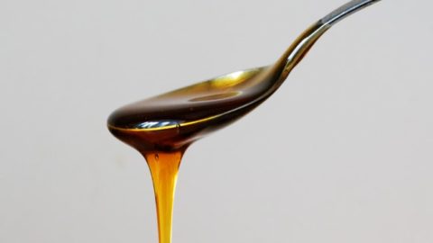 How To Make the Golden Honey Mixture – The Strongest Known Natural Antibiotic