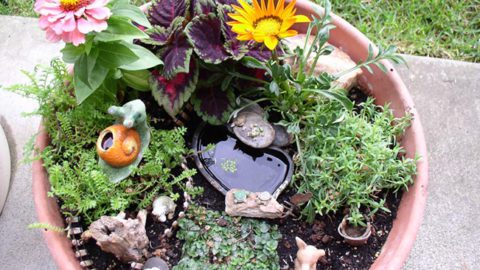 How To Build A Mini Water Garden Oasis In 20 different Styles