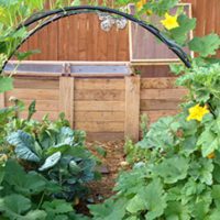 How To Build a Squash Arch - You can build many of these that provide a beautiful garden structures that produces amazing squash&nbsp;and won't break the bank! I will be doing this project this year as I am growing butternut squash for the first time.