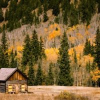 Free DIY Full Plans For A Cottage Wood Cabin - The plans are completely free and the website even has other links to other free projects on there too. I personally LOVE this style cabin and may just have to build one.