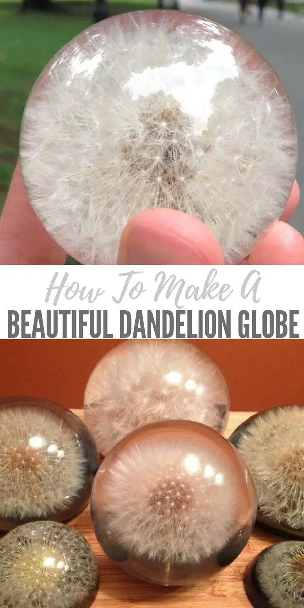 A dandelion paperweight globe is an incredible craft that will preserve a dandelion's beauty, and all those memories of childhood fun, for all eternity!