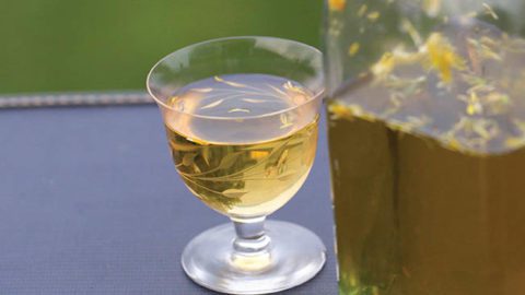 How To Make Dandelion Wine