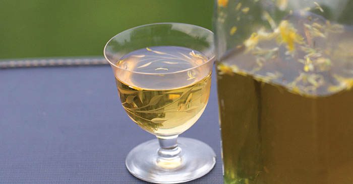 How To Make Dandelion Wine - Dandelions are weeds that grow pretty much anywhere, for years I always thought of them as annoying weeds that just grew where ever they liked, ruining my lush green lawn. now I am a prepper, I have changed my mind... you can eat them, make tea with them and like this post, make wine with them.