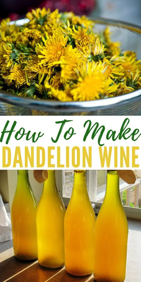 How To Make Dandelion Wine