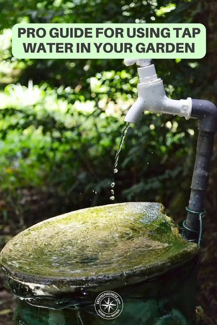 Pro Guide For Using Tap Water In Your Garden