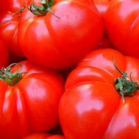 How To Build The Ultimate Tomato Cage For Under $2 - Nobody ever said growing your own food was going to be easy but that doesn’t mean it should be expensive and this DIY tomato and pepper cage proves that.