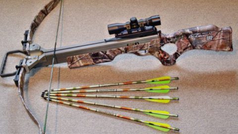 12 Essential Crossbow Do’s and Don’ts