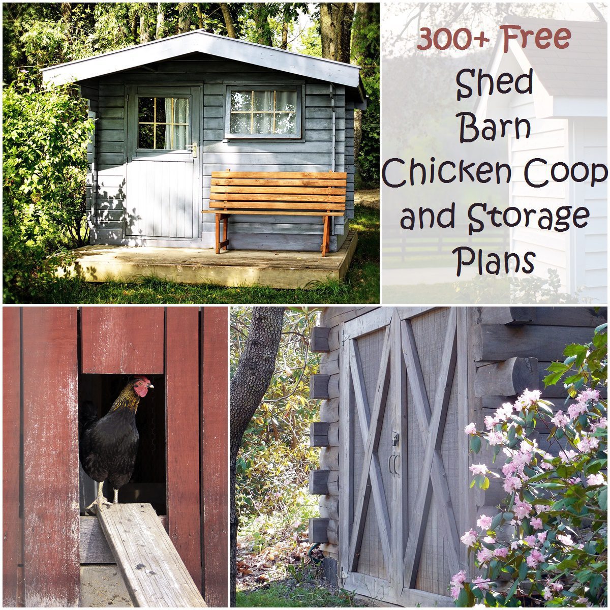 300+ Shed, Barn, Chicken Coop and Storage Plans (plus more!)