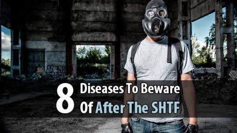 8 Diseases to Beware of After the Shtf