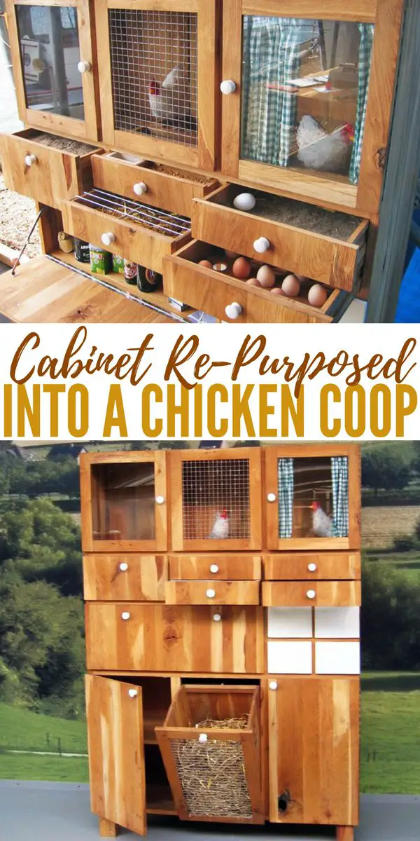 RePurposed Into a Chicken Coop