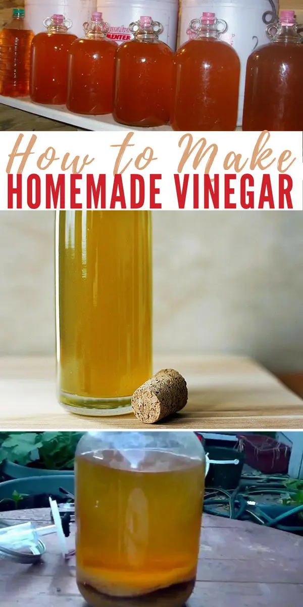 Once upon a time, people knew how to make homemade vinegar on their own and used it for cooking, food preservation, cleaning, and medicinal purposes!