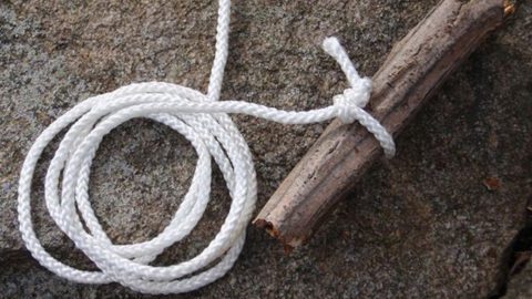 How to Build a Trap: 15 Best Survival Traps