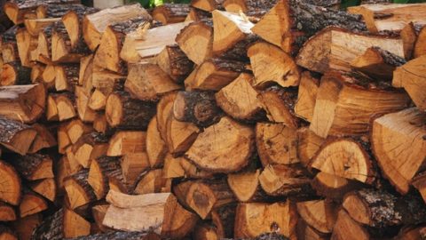 Firewood Ranked By Heat Value (BTU Value)