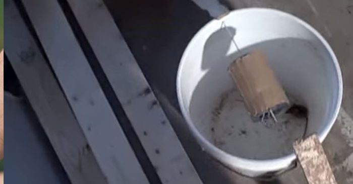 How To Build A Self-Resetting Mouse Trap - These 5-gallon bucket mouse traps are cheap and easy to build, easy to use and easy to service. I know the regular mouse traps are cheap but this trap can also catch rats too. The best part is it's self resetting.