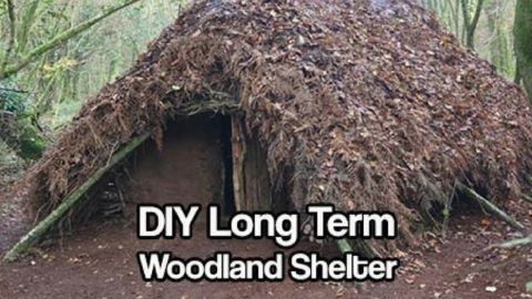 DIY Long Term Woodland Shelter