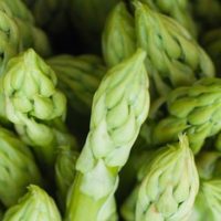 How To Grow Asparagus in your Survival Garden - Growing perennials is a sustainable, practical gardening technique that will provide you with food for years. But there are a few things you need to know about growing your asparagus crop like how to avoid pests, diseases and weeds, how to properly prepare the beds and ultimate how to harvest them.